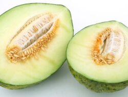 8 Makanan Ini Tak Boleh Dikonsumsi Pada waktu yang sama dengan Melon