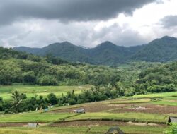 Geopark Kebumen Diakui Sebagai UNESCO Global Geopark