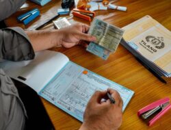 Beda Surat Tilang Biru dan Merah