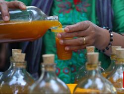 Kemenkes Mulai Giatkan Resep Bahan Alam Sampai sekarang Jamu di Faskes Formal