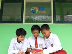 BRI Peduli Dorong Pemerataan Pendidikan Lewat Program Ini Sekolahku