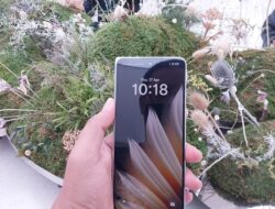 Trik Mudah Cek Penerima Bantuan Kemensos Lewat HP