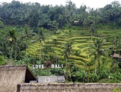 BMKG Ungkap Dalang Udara Dingin di Bali, Sampai Kapan?