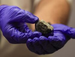 Peneliti Duga Meteorit di Gurun Sahara Berasal dari Merkurius