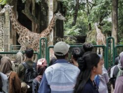 Kebun Binatang Ragunan Bakal Dibuka untuk Wisata Malam