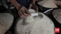 Beras Mulai Tersedia di Medan, Harganya Masih Rp16 Ribu per Kg
