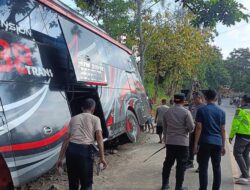 Kecelakaan Maut Kendaraan Bus Nakes Jember di Bromo, Ingat Pentingnya Seat Belt