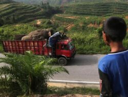 Razia Truk Pelat Aceh di Sumut Patut Dikaji Ulang, Ciptakan Konflik
