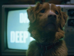 Sutradara Ungkap Kejadian Mistis Inspirasi Sinema Horor Good Boy