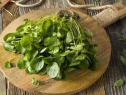 Selada Air, Sayuran Sederhana yang Ternyata Bisa Cegah Kanker Payudara