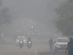 New Delhi Nanti akan Diguyur Hujan Bersejarah Pekan Depan, Ada Apa?