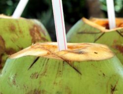 Simak, 8 Kelompok Orang Ini Sangat dianjurkan Berhati-hati saat Minum Air Kelapa