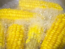 7 Manfaat Tak Terduga Air Rebusan Jagung, Bikin Tubuh Sehat