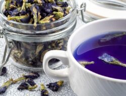 7 Manfaat Bunga Telang untuk Kesehatan, dari Kulit Sampai saat ini Pernapasan