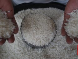 Pemerintah Kerek Cadangan Beras 2026 ke 4 Juta Ton, Jagung 1 Juta Ton