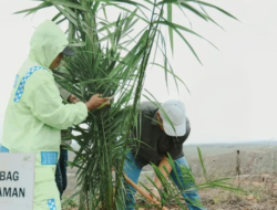 Efisiensi dan Disiplin Jadi Kunci Kinerja PTPN IV Regional III