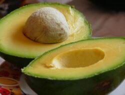 Ingin Punya Kulit Sehat dan Awet Muda? Konsumsi 9 Makanan Ini