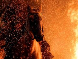 Dari Tahun Ular Kayu ke Kuda Api, 2026 Bakal Seperti Apa?