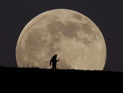 Trend Populer Wolf Moon Muncul 3 Januari 2026