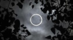 Ada Gerhana Matahari Cincin 17 Februari, Dapat Dilihat di Mana Saja?