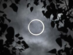 Ada Gerhana Matahari Cincin 17 Februari, Dapat Dilihat di Mana Saja?