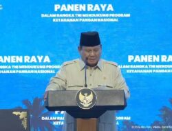 Kritik Harga Beras Mahal, Prabowo: Tanam Padi Sendiri
