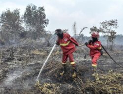 3,4 Juta Warga Terdampak Asap Karhutla, Kasus ISPA Naik Tajam di Kalimantan