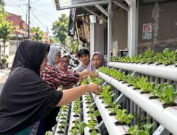 PNM Sulap Lorong Kota Jadi Kebun Produktif, Bantu Nasabah Mekaar Murah Belanja
