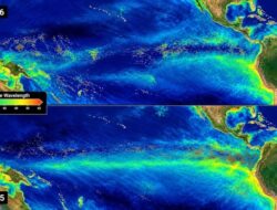 Kejadian Fantastis Super El Nino Ubah Warna Laut Samudra Pasifik